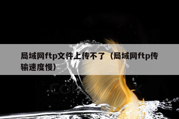 局域网ftp文件上传不了（局域网ftp传输速度慢）