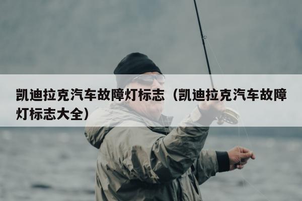 凯迪拉克汽车故障灯标志（凯迪拉克汽车故障灯标志大全）