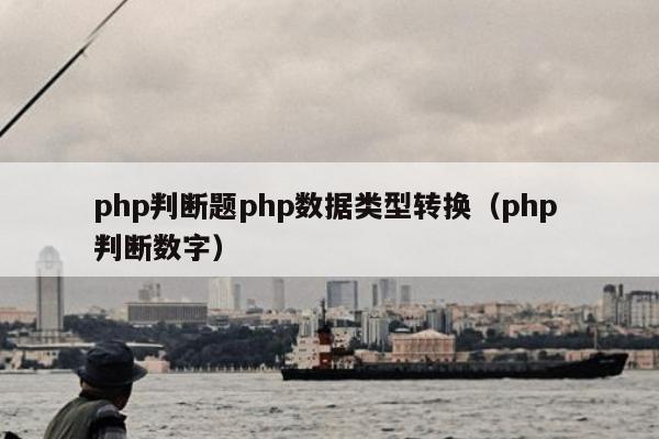 php判断题php数据类型转换（php 判断数字）