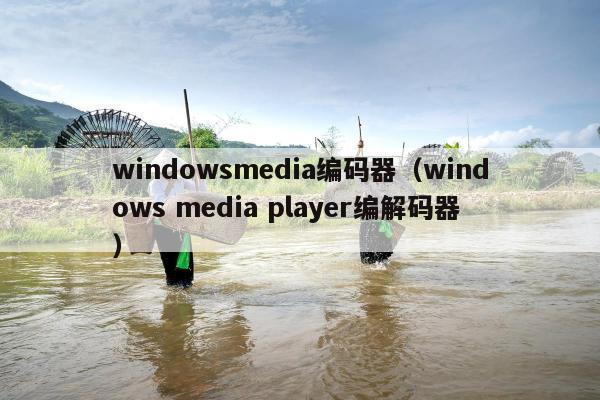 windowsmedia编码器（windows media player编解码器）