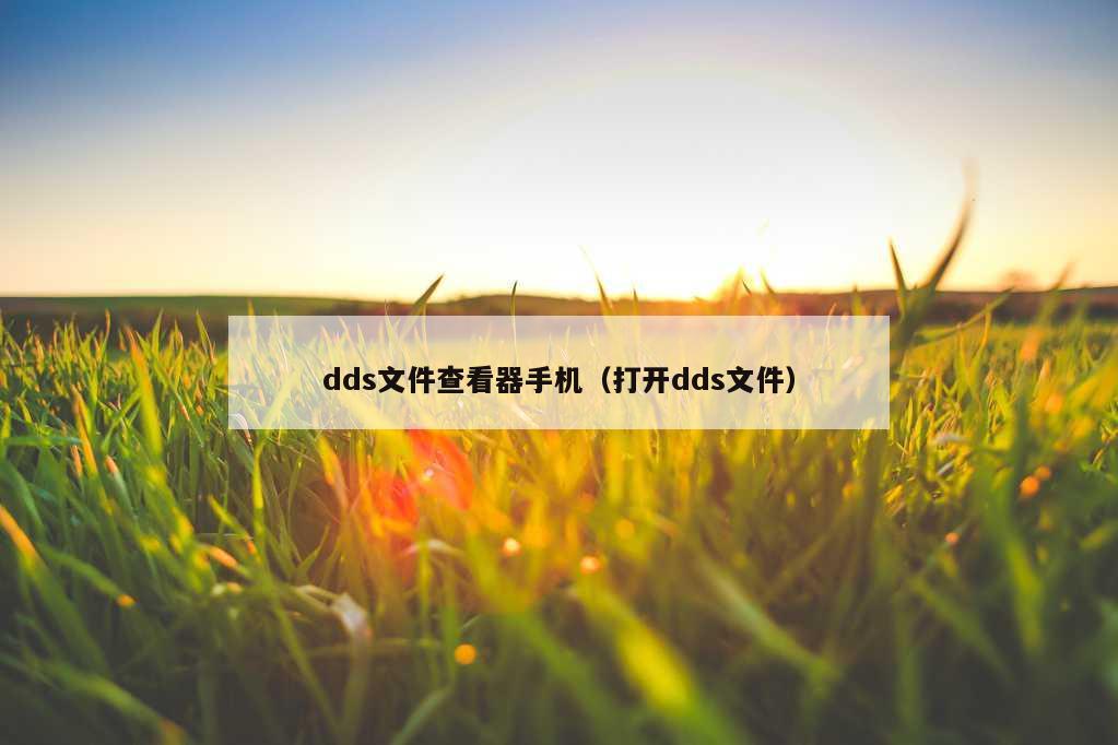 dds文件查看器手机（打开dds文件）