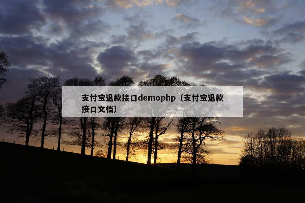 支付宝退款接口demophp（支付宝退款接口文档）