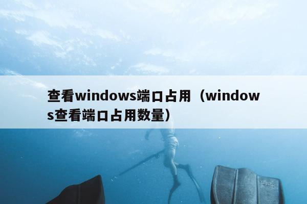 查看windows端口占用（windows查看端口占用数量）