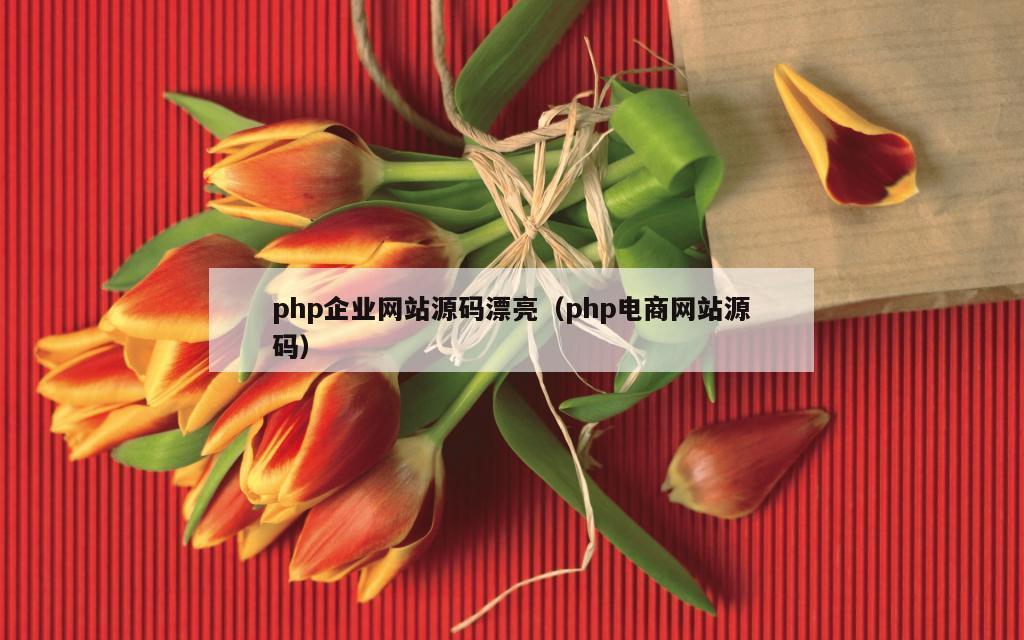 php企业网站源码漂亮（php电商网站源码）