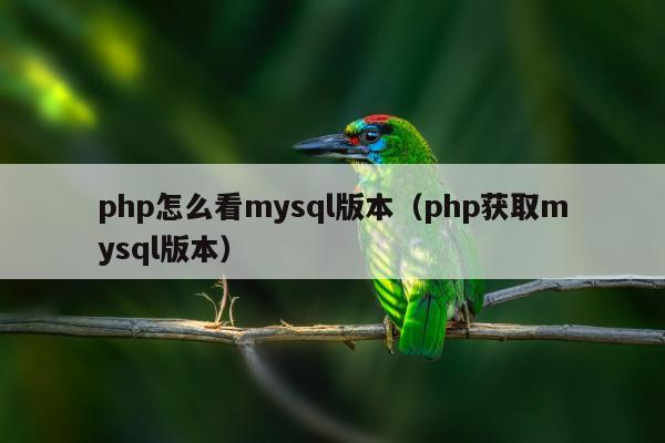 php怎么看mysql版本（php获取mysql版本）