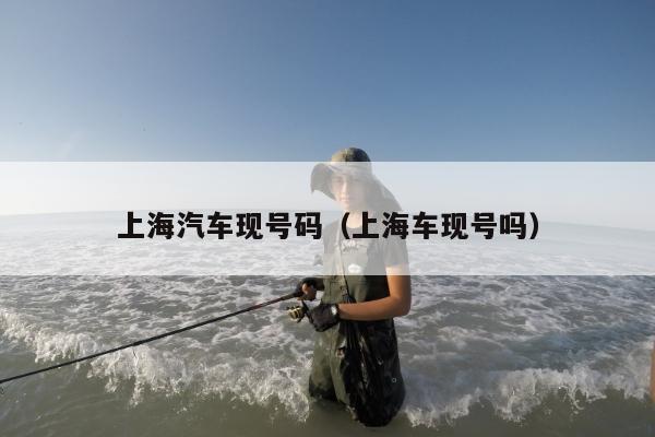 上海汽车现号码（上海车现号吗）