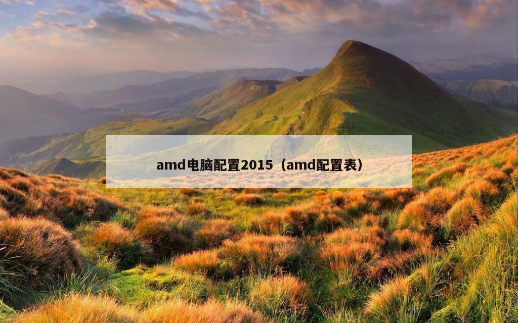 amd电脑配置2015（amd配置表）