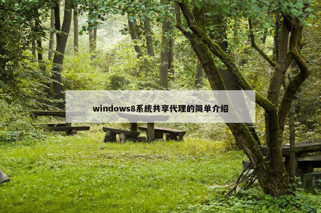 windows8系统共享代理的简单介绍