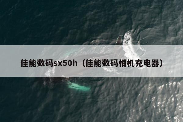 佳能数码sx50h（佳能数码相机充电器）