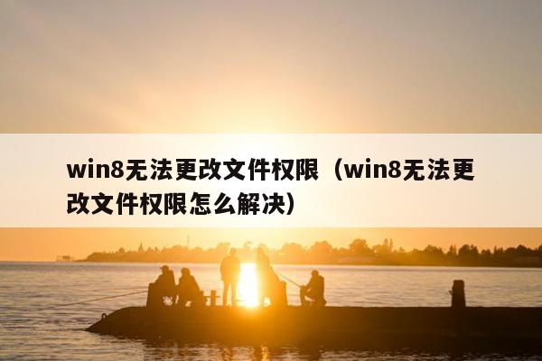 win8无法更改文件权限（win8无法更改文件权限怎么解决）