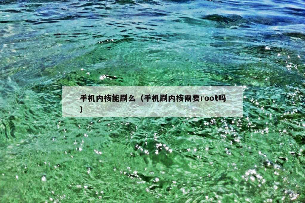 手机内核能刷么（手机刷内核需要root吗）