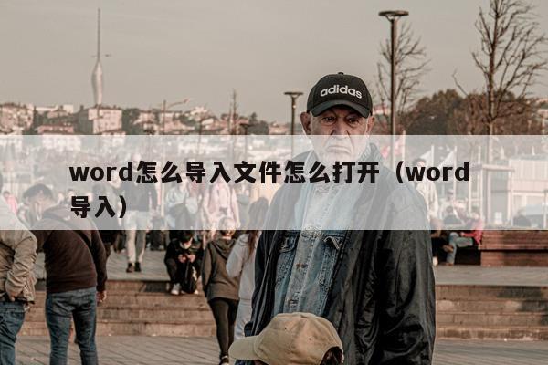 word怎么导入文件怎么打开（word 导入）