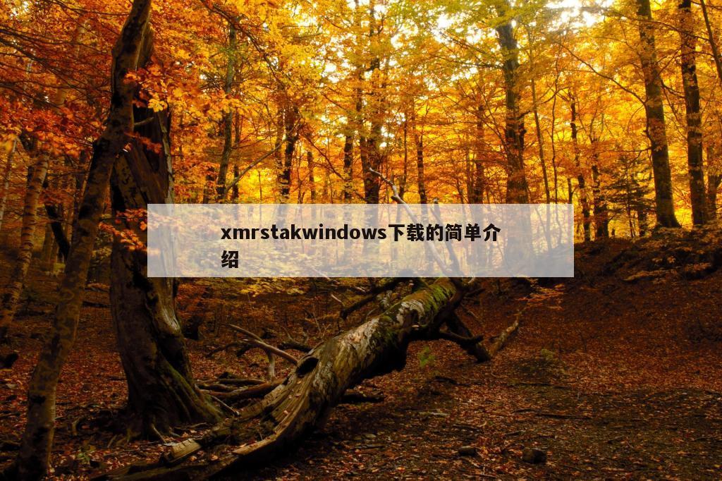 xmrstakwindows下载的简单介绍