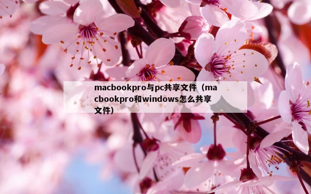 macbookpro与pc共享文件（macbookpro和windows怎么共享文件）