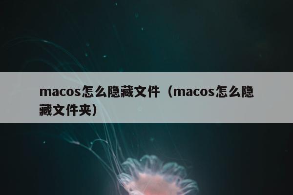 macos怎么隐藏文件（macos怎么隐藏文件夹）