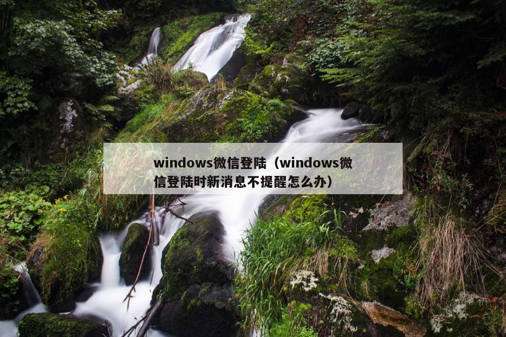 windows微信登陆（windows微信登陆时新消息不提醒怎么办）