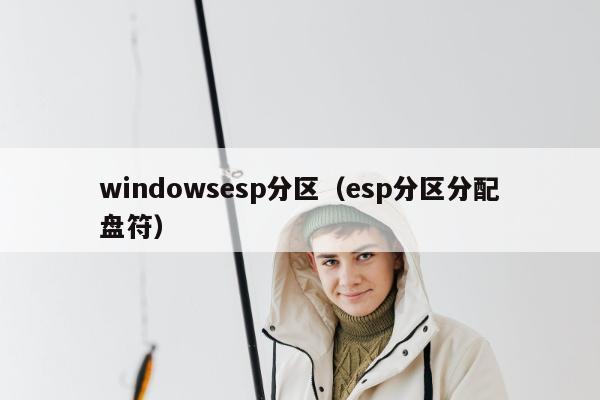 windowsesp分区（esp分区分配盘符）