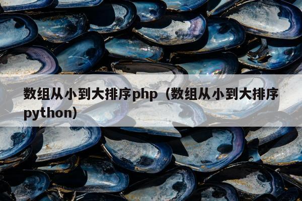 数组从小到大排序php（数组从小到大排序python）