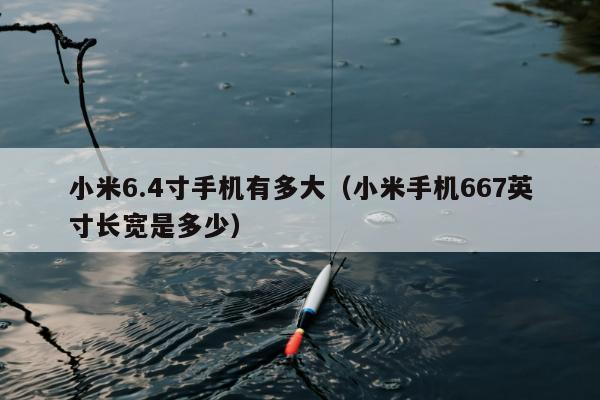 小米6.4寸手机有多大（小米手机667英寸长宽是多少）