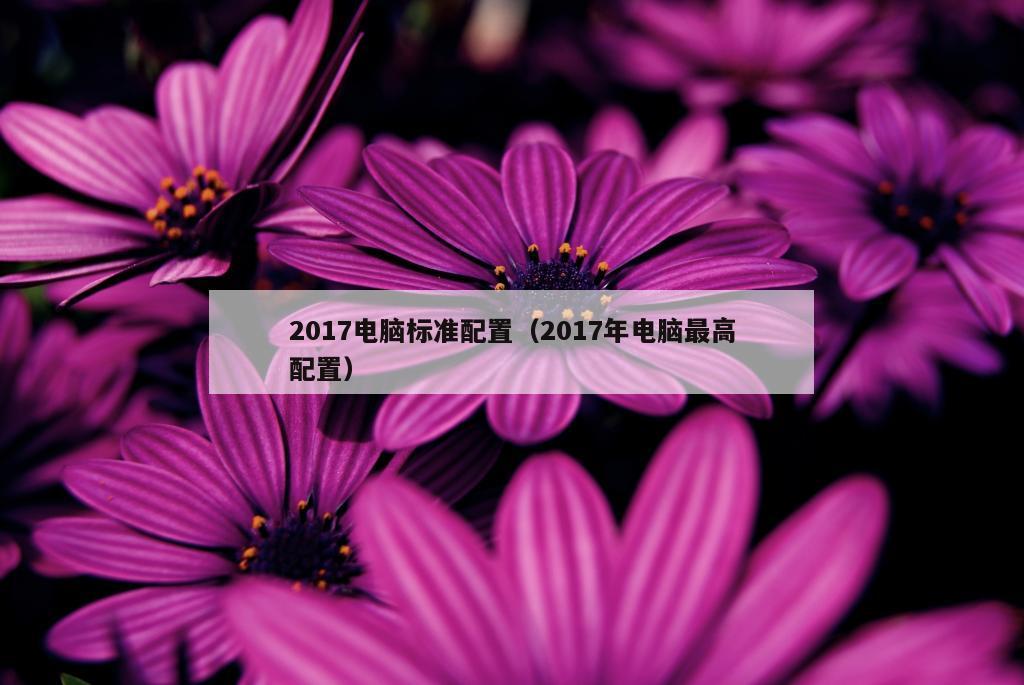 2017电脑标准配置（2017年电脑最高配置）