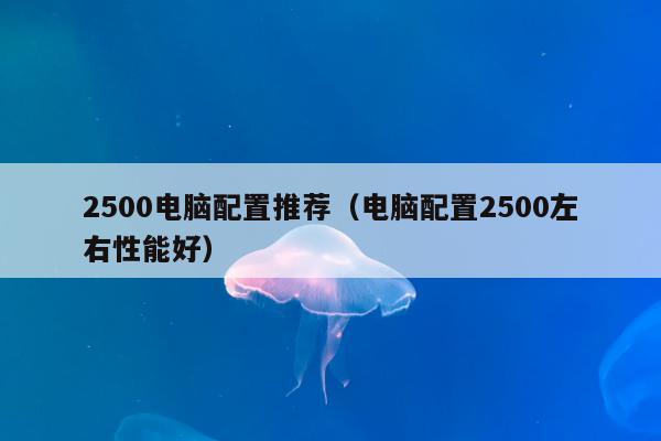 2500电脑配置推荐（电脑配置2500左右性能好）