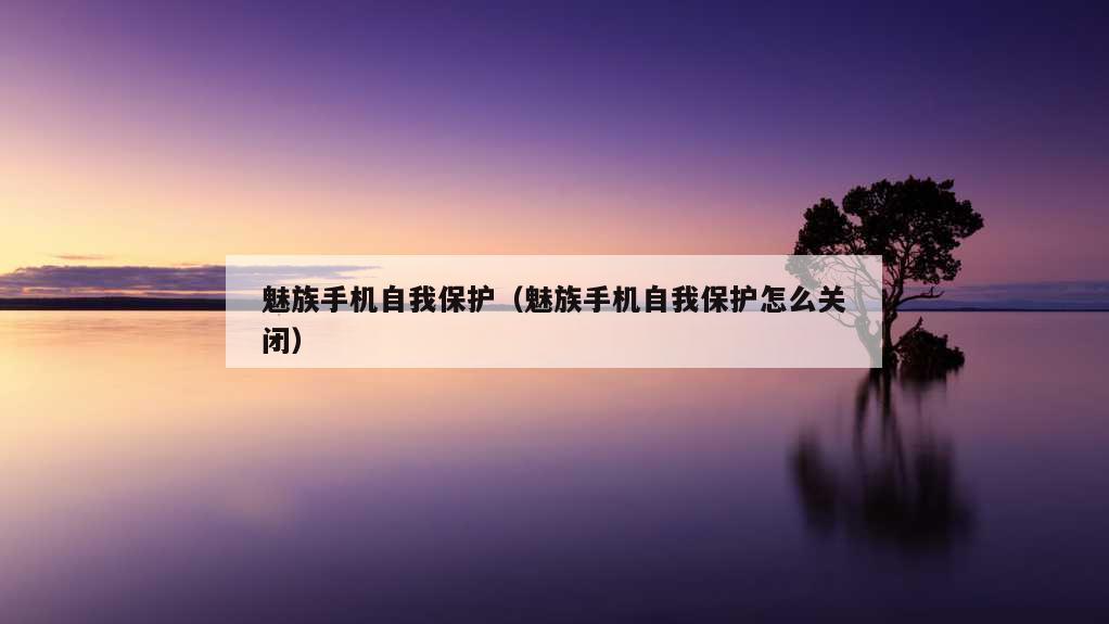 魅族手机自我保护（魅族手机自我保护怎么关闭）