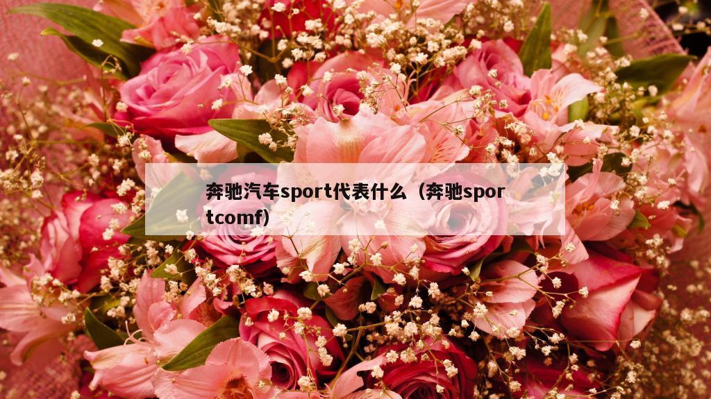 奔驰汽车sport代表什么（奔驰sportcomf）