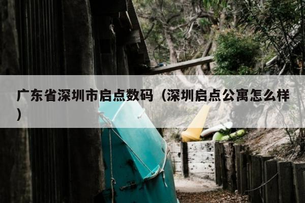 广东省深圳市启点数码（深圳启点公寓怎么样）