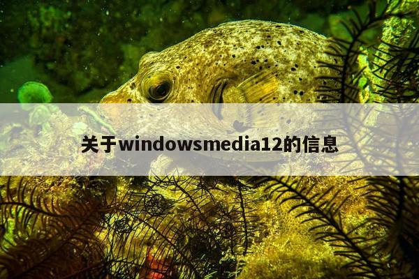 关于windowsmedia12的信息