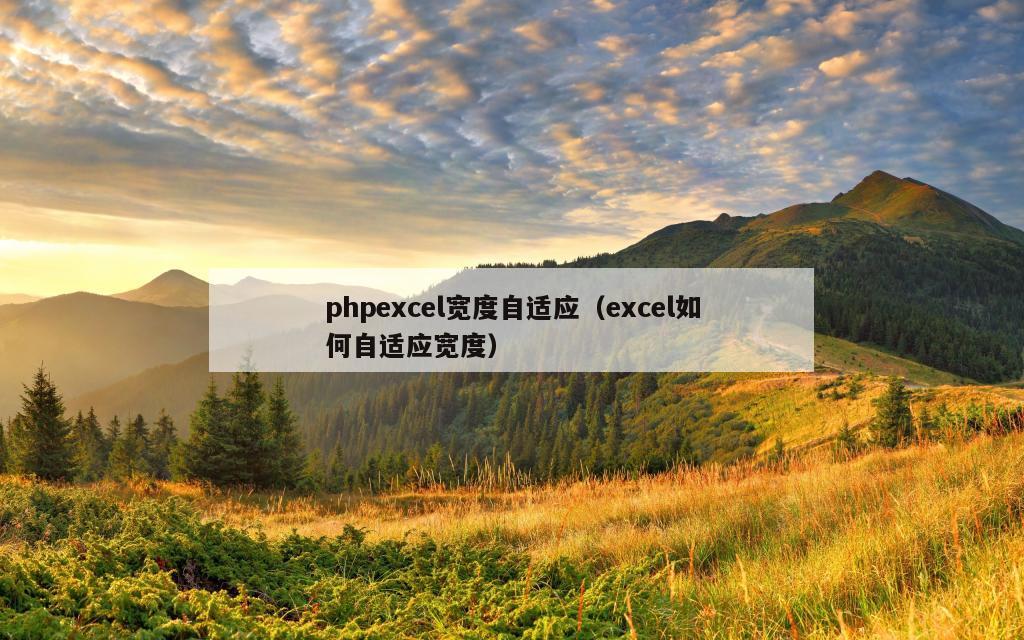 phpexcel宽度自适应（excel如何自适应宽度）