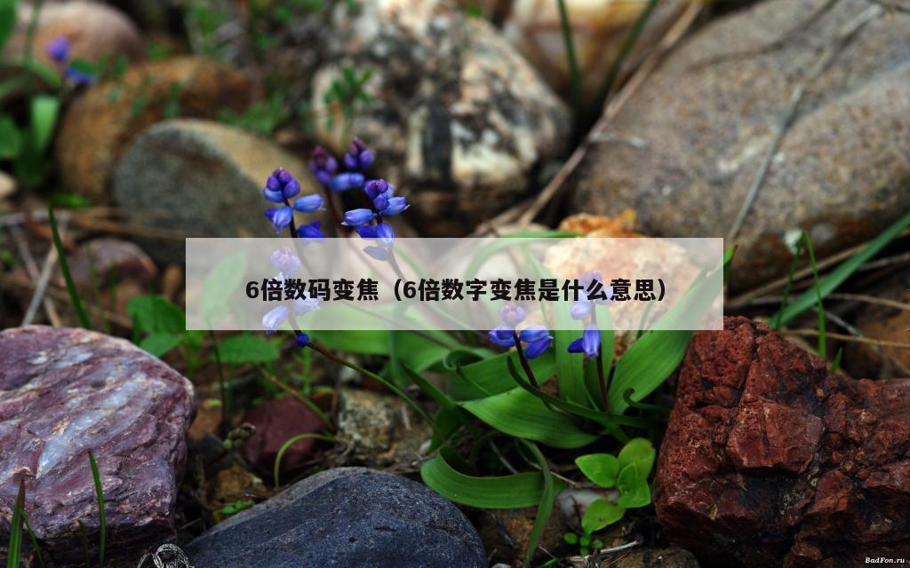 6倍数码变焦（6倍数字变焦是什么意思）