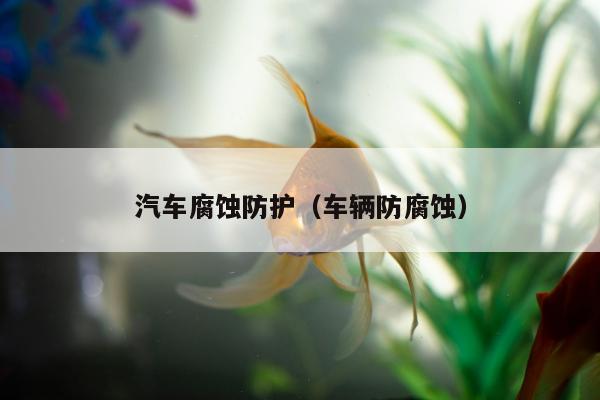 汽车腐蚀防护（车辆防腐蚀）