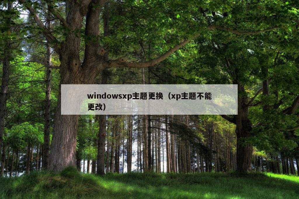 windowsxp主题更换（xp主题不能更改）