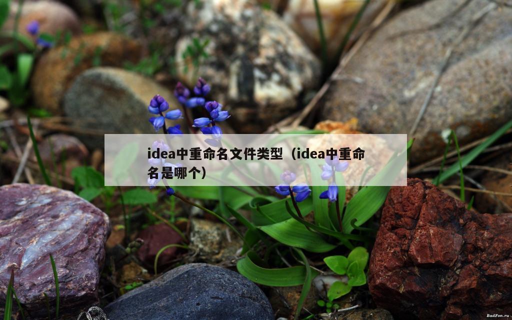 idea中重命名文件类型（idea中重命名是哪个）