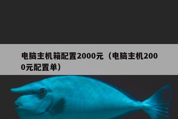 电脑主机箱配置2000元（电脑主机2000元配置单）