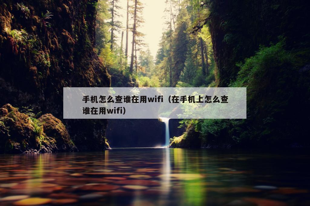 手机怎么查谁在用wifi（在手机上怎么查谁在用wifi）