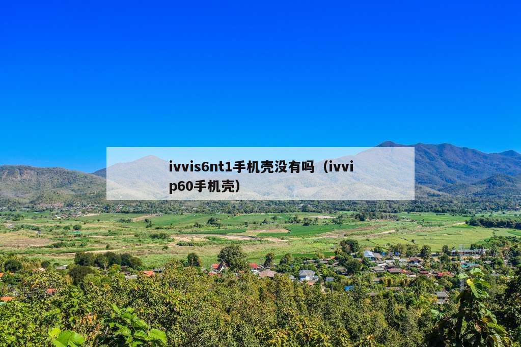 ivvis6nt1手机壳没有吗（ivvip60手机壳）