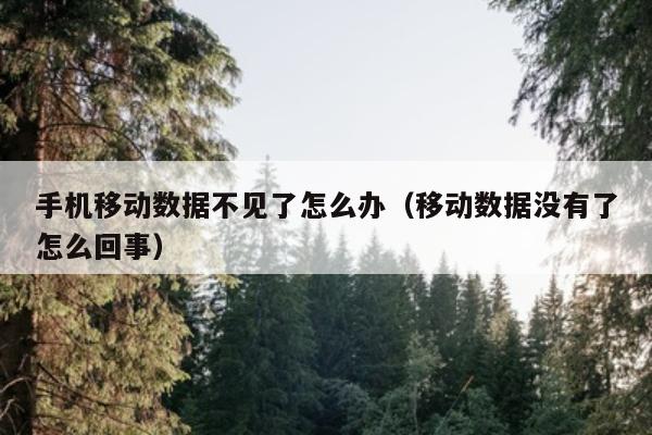 手机移动数据不见了怎么办（移动数据没有了怎么回事）