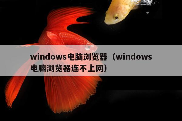 windows电脑浏览器（windows电脑浏览器连不上网）