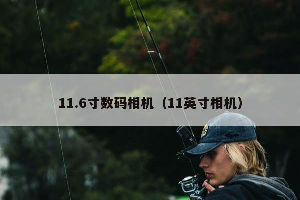 11.6寸数码相机（11英寸相机）