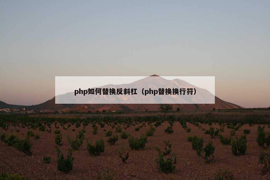 php如何替换反斜杠（php替换换行符）