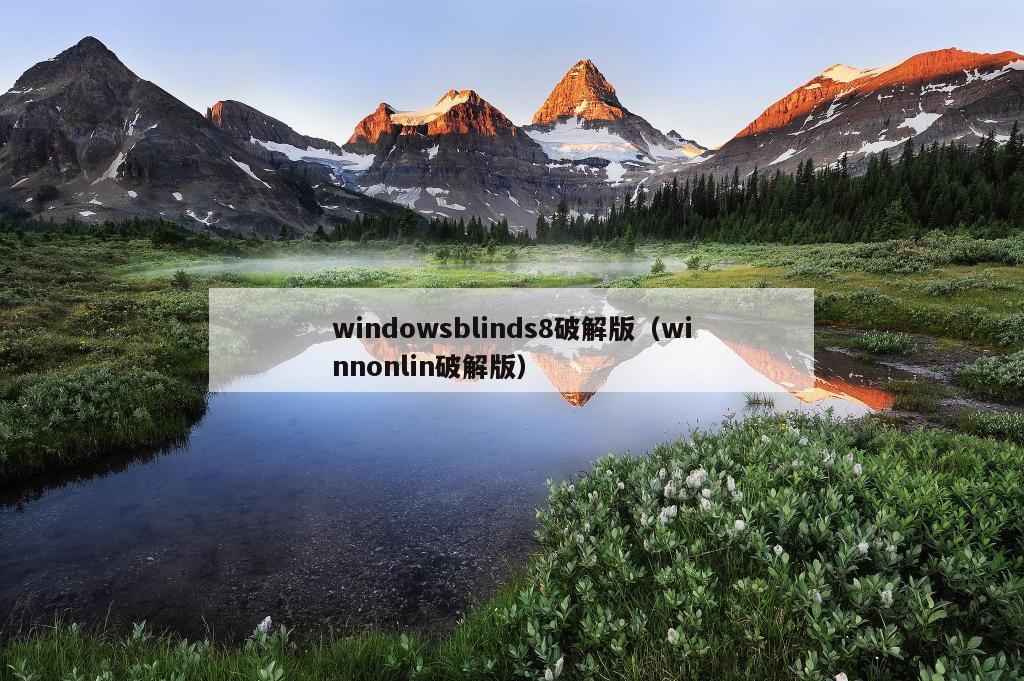 windowsblinds8破解版（winnonlin破解版）