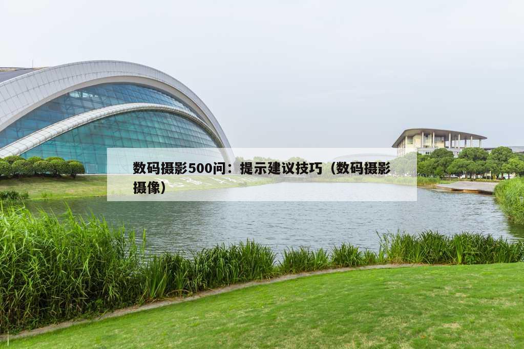 数码摄影500问：提示建议技巧（数码摄影摄像）