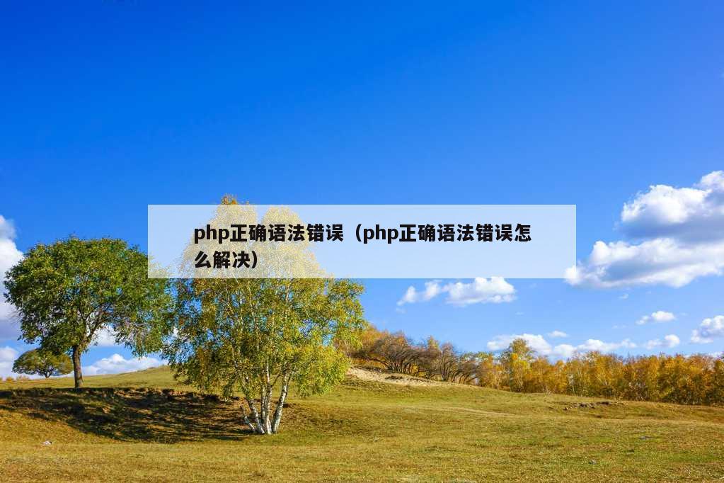 php正确语法错误（php正确语法错误怎么解决）