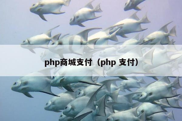 php商城支付（php 支付）