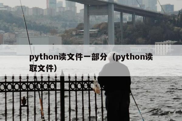 python读文件一部分（python读取文件）