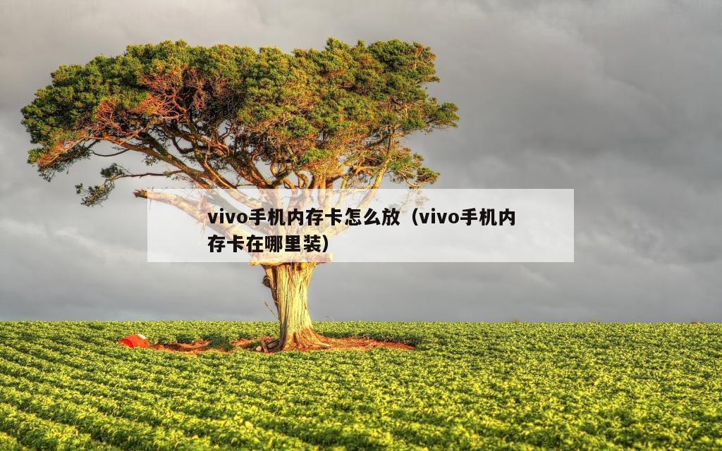 vivo手机内存卡怎么放（vivo手机内存卡在哪里装）