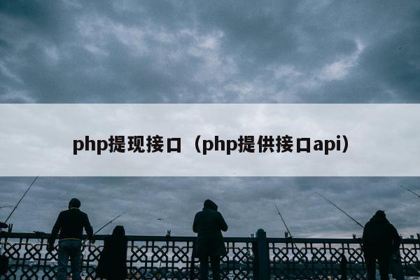 php提现接口（php提供接口api）