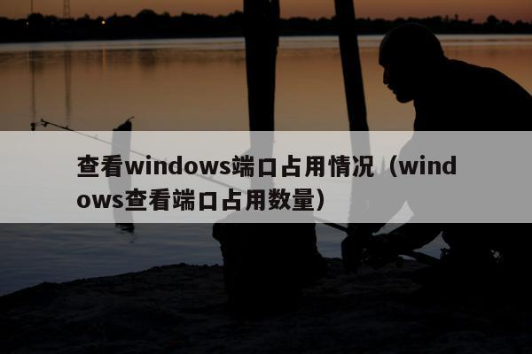 查看windows端口占用情况（windows查看端口占用数量）