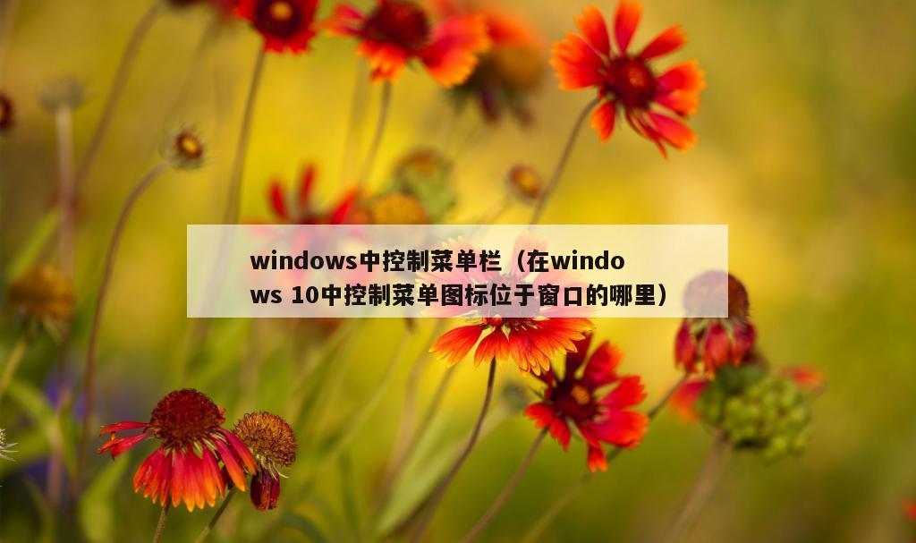 windows中控制菜单栏（在windows 10中控制菜单图标位于窗口的哪里）